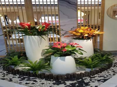 辦公室公司大廳組景綠植租擺