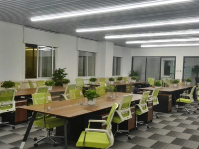 辦公室綠植租擺 員工區(qū)花卉案例