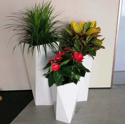 辦公室前臺組合盆景 特大綠植