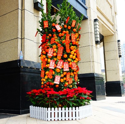 2024年?yáng)|莞年桔批發(fā)購(gòu)買(mǎi) 免費(fèi)配送上門(mén)